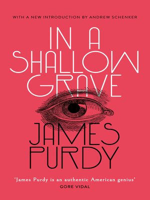 cover image of In a Shallow Grave